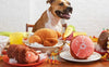 Foods to keep away from your pet on Thanksgiving