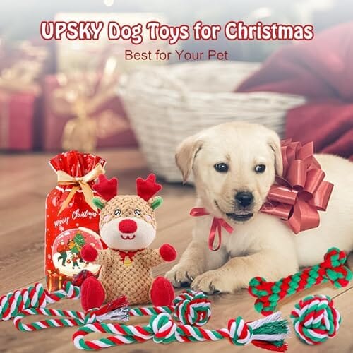 http://petclever.net/cdn/shop/files/7-pack-christmas-dog-toys-643329_600x.jpg?v=1700494377