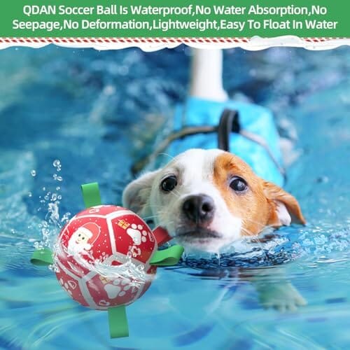 Dog Toys Soccer Ball With Nylon Strap & Hand Pump, Interactive