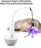 Interactive Cat Toys for Indoor Cat Feather Toys Cat Pet Clever 