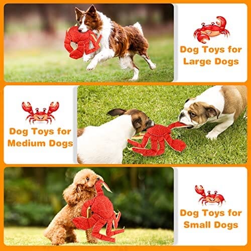 NPET Dog Puzzle Toy, Interactive Dog Toys for Small & Medium Dogs