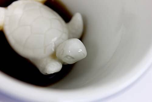 http://petclever.net/cdn/shop/products/creature-cups-turtle-ceramic-cup-690085_600x.jpg?v=1680035336