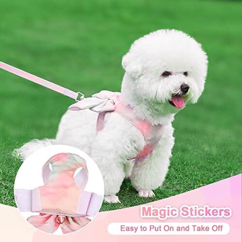 Maltese puppy hot sale harness