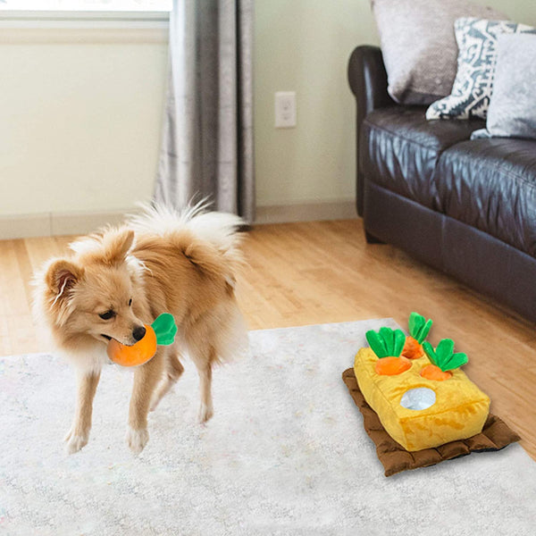 http://petclever.net/cdn/shop/products/interactive-squeaky-crinkle-hide-and-seek-plush-dogs-toys-959068_600x.jpg?v=1634249417