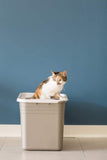 Top Entry Litter Pan Cat Litter Box Cat Litter Boxes & Litter Trays Pet Clever 