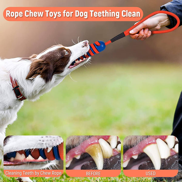 Dog Toys Chew Aggressive Puppy Training Treats Teething Rope Toys