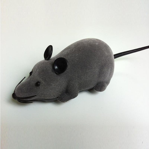 Rc mouse sales