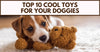 10 Awesome Toys for Your Dogs