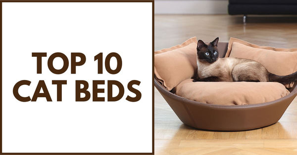 10 Best Cat Beds You Can Buy - Pet Clever