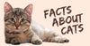 10 FACTS ABOUT CATS