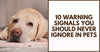 10 Warning Signals You Should Never Ignore in Pets