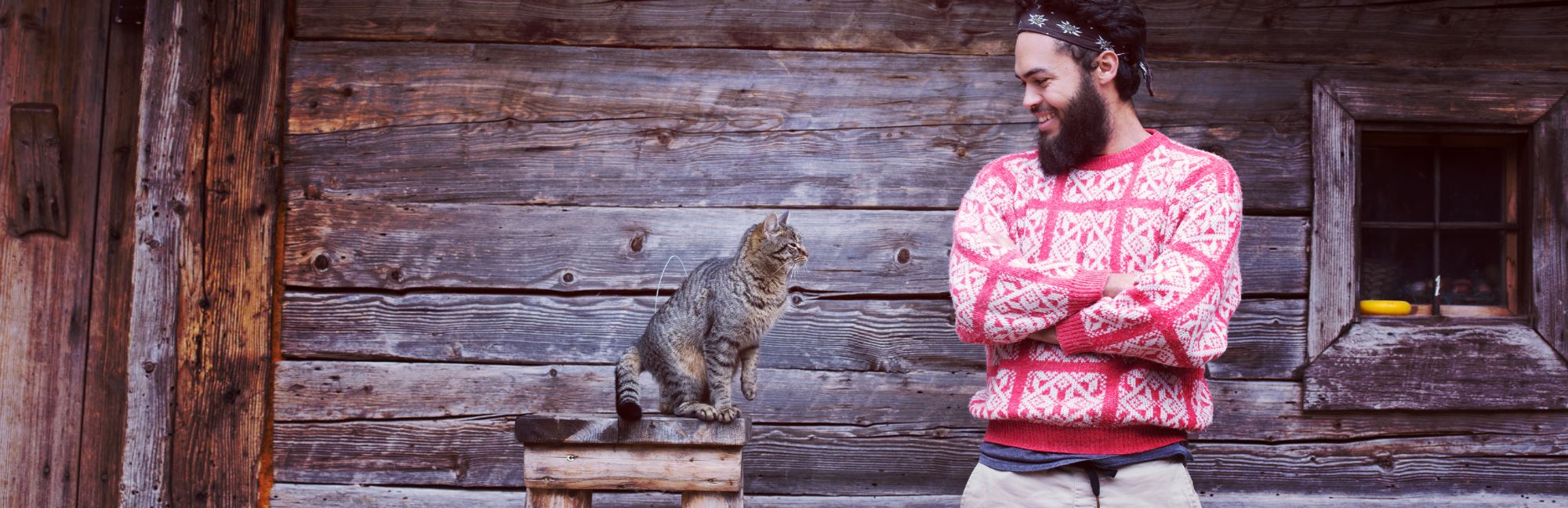 2019 Holiday Gift Guide For Cat Lovers