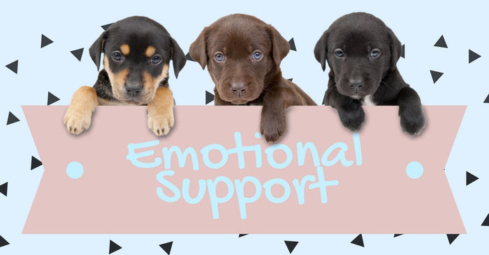 3 Benefits of Owning an Emotional Support Dogs