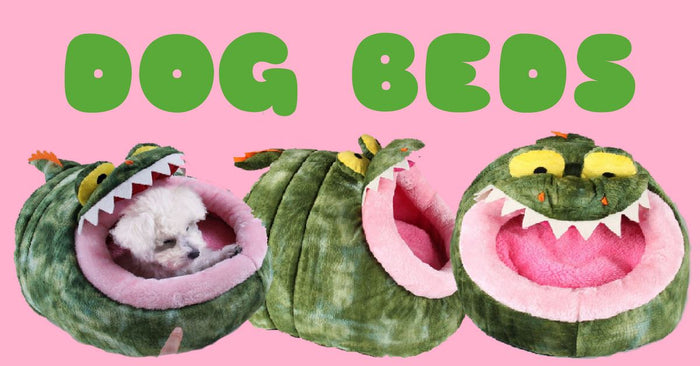 3 Reasons Why Large Dogs Should have Dog Beds