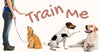 4 Basic Commands In Training Your Dogs