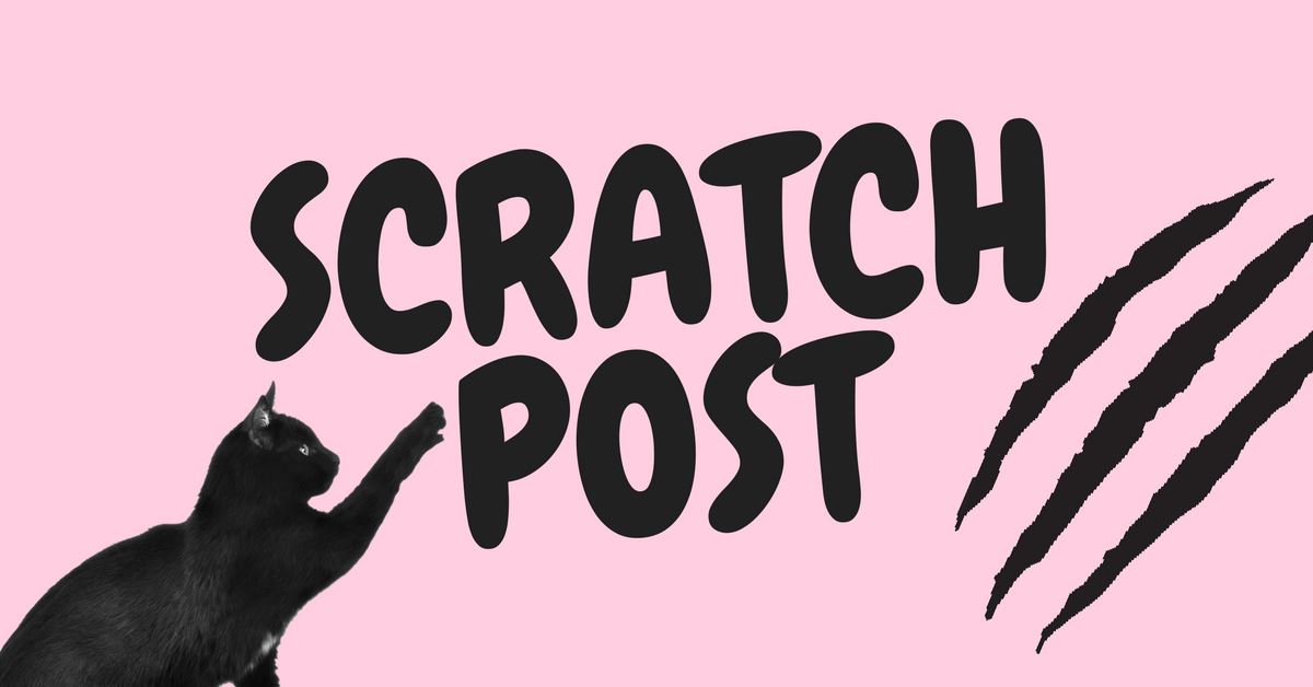 4 Reasons Why You Should Let Your Cat Have a Scratching Post