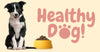 4 Signs That You Have A Healthy Dog