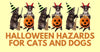 5 Most Usual Food-Related Halloween Hazards For Cats And Dogs