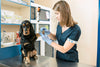 All About Pet Vaccinations