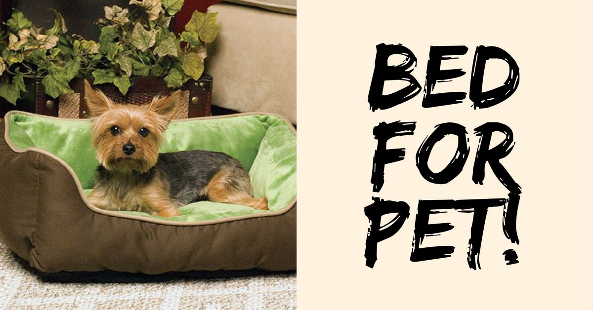 Beds That Are For Pets