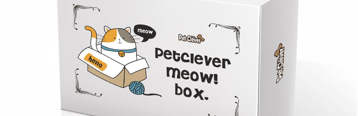 Benefits of a Cat Subscription Box