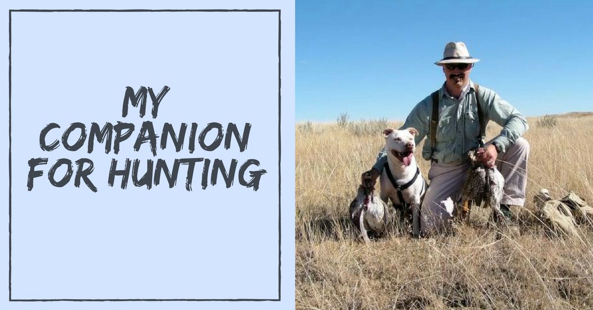 Best Dog Breed Companion For Hunting