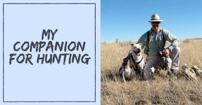 Best Dog Breed Companion For Hunting