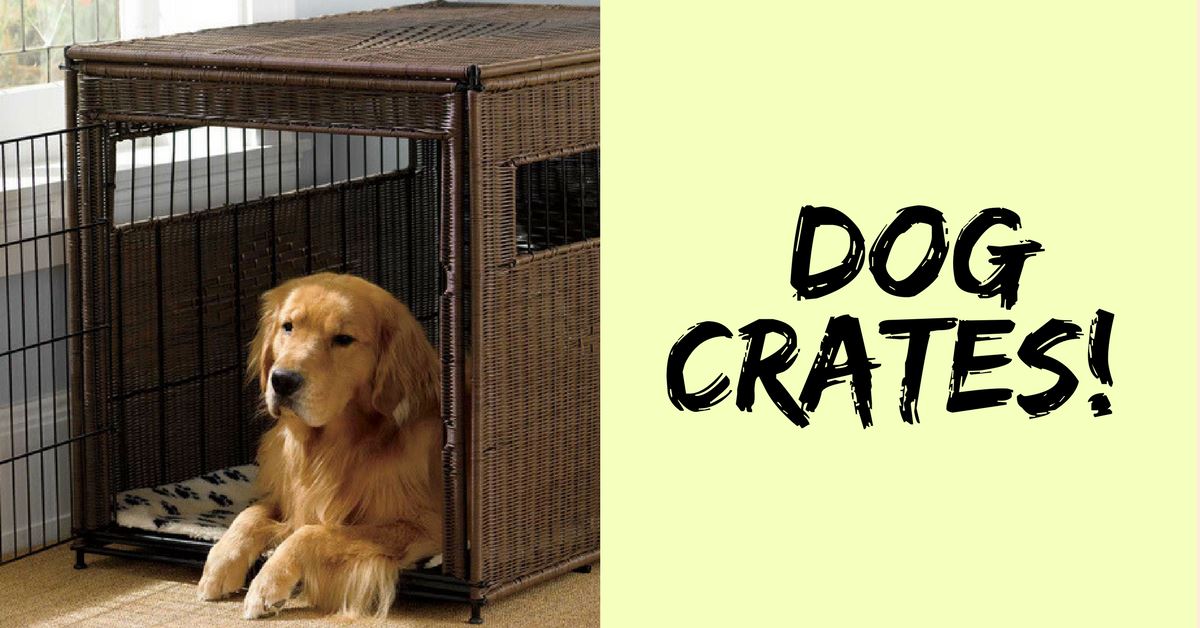 Best Dog Crates