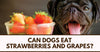 Can Dogs Eat Strawberries And Grapes?