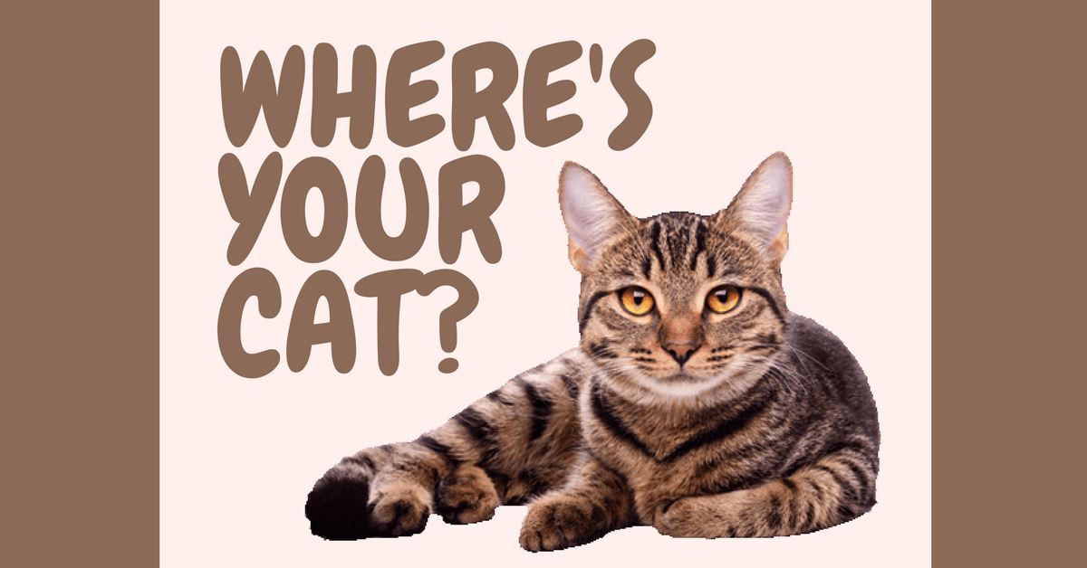 Can’t Find Your Cat?