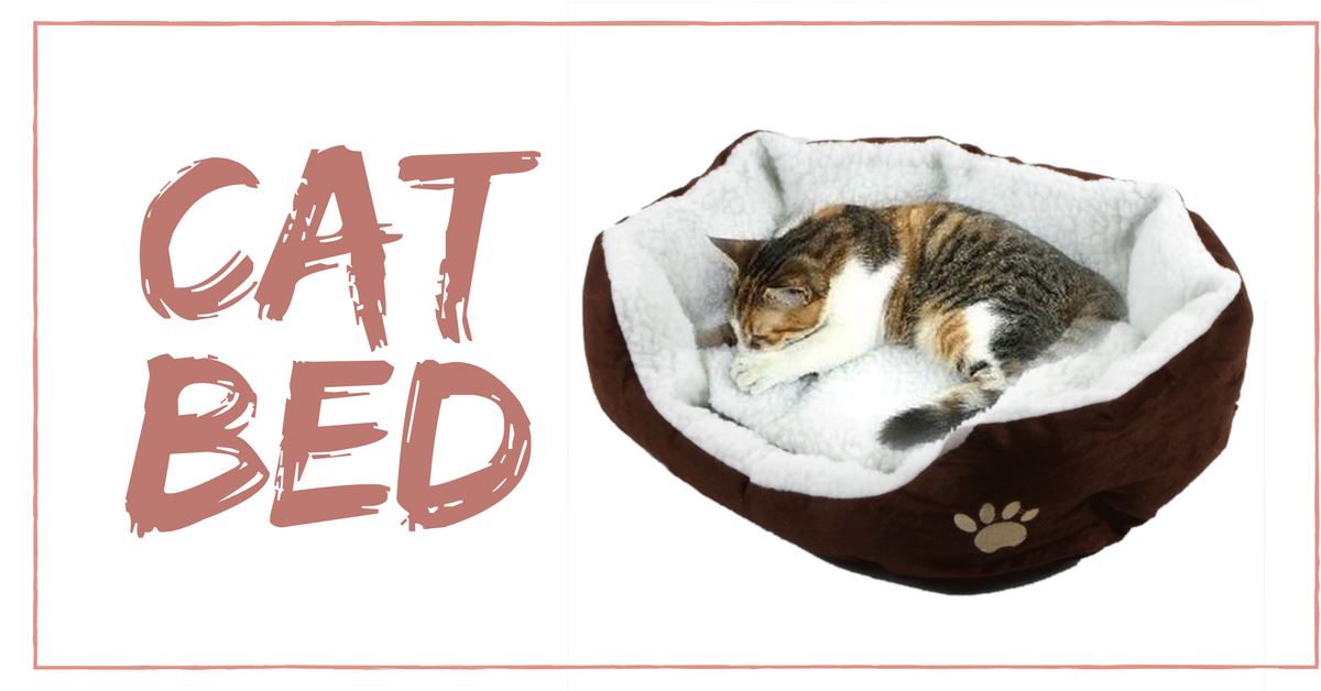Cat Beds And Why You Should Buy One