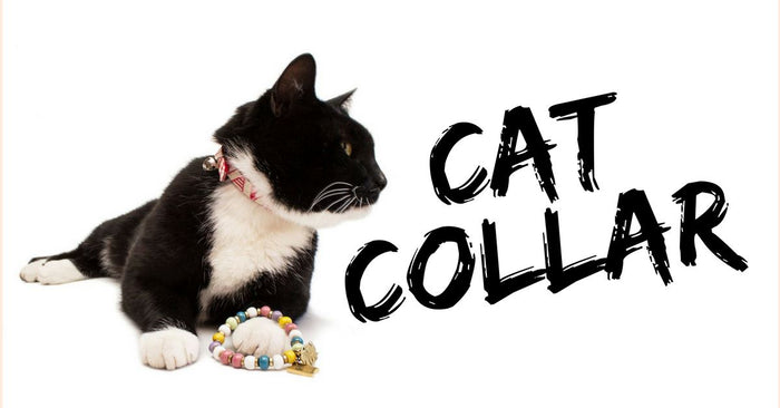 Cat Collar