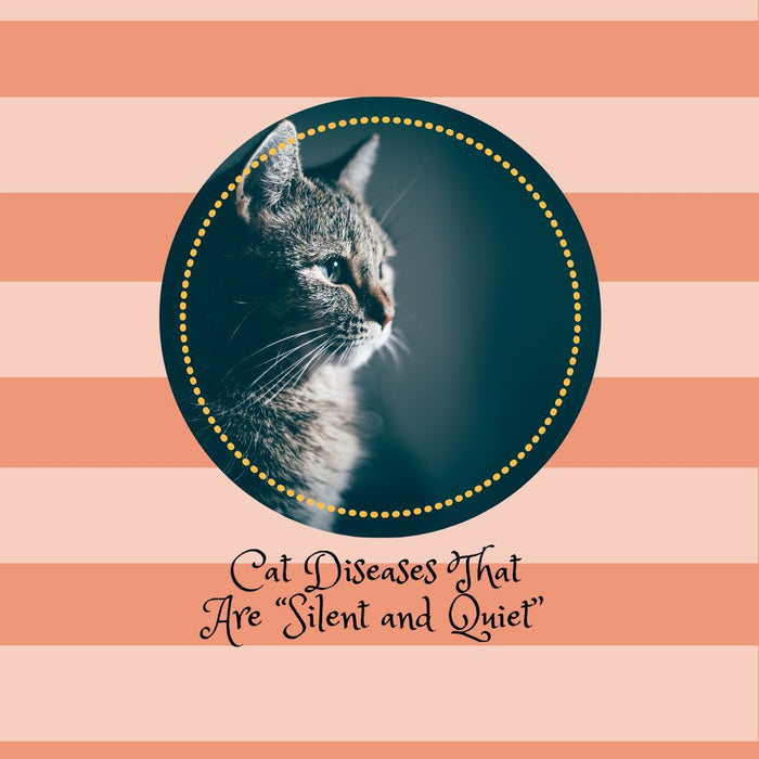 Cat Diseases That Are “Silent and Quiet”