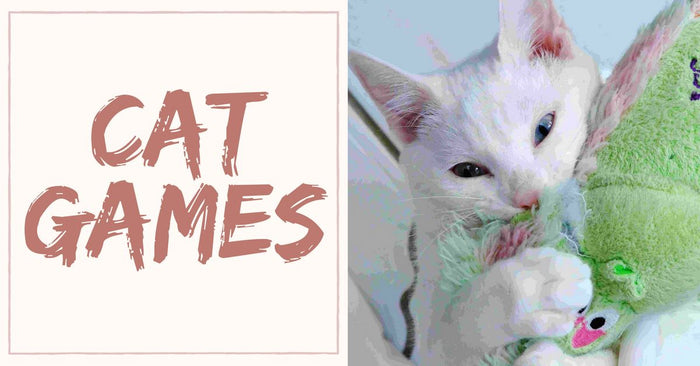 Cat Games for your Cats