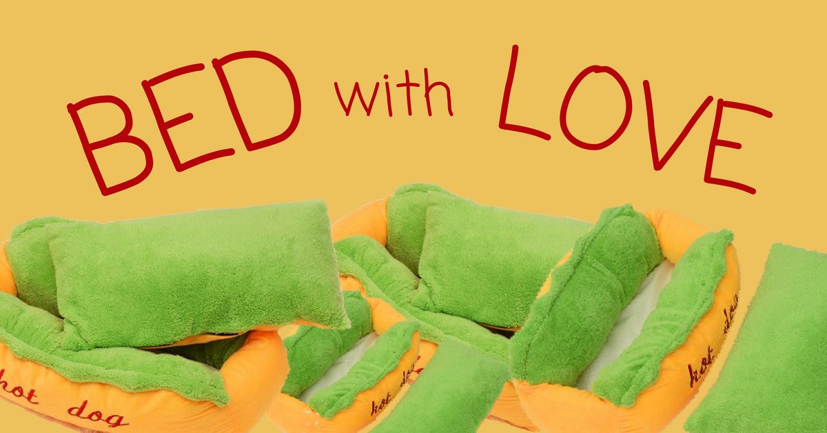 Choosing the Right Cat Bed with Love