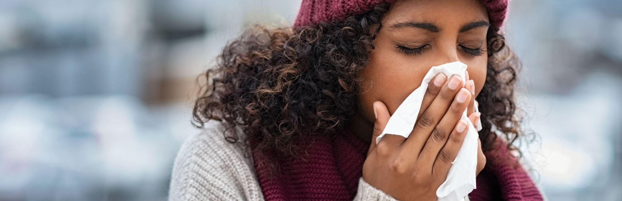 Common Pet Allergies and How To Treat Them