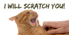 Did A Cat Scratch You?