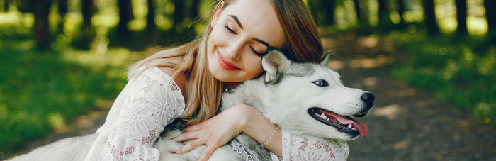 Do Dog's Get Jealous?