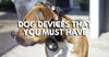 Dog Devices That You Must Have