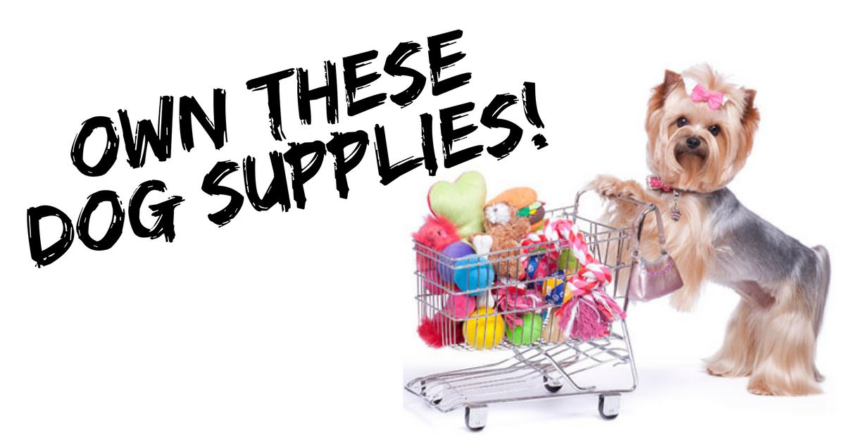 Dog Supplies That An Owner Needs