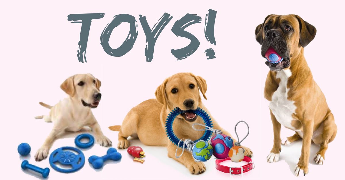 Dog Toys and Why You Should Have Some