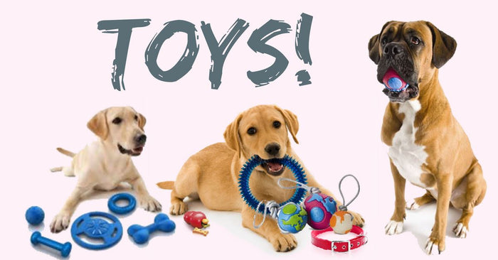 Dog Toys and Why You Should Have Some