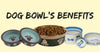 Elevated Dogs Bowls and Its Benefits