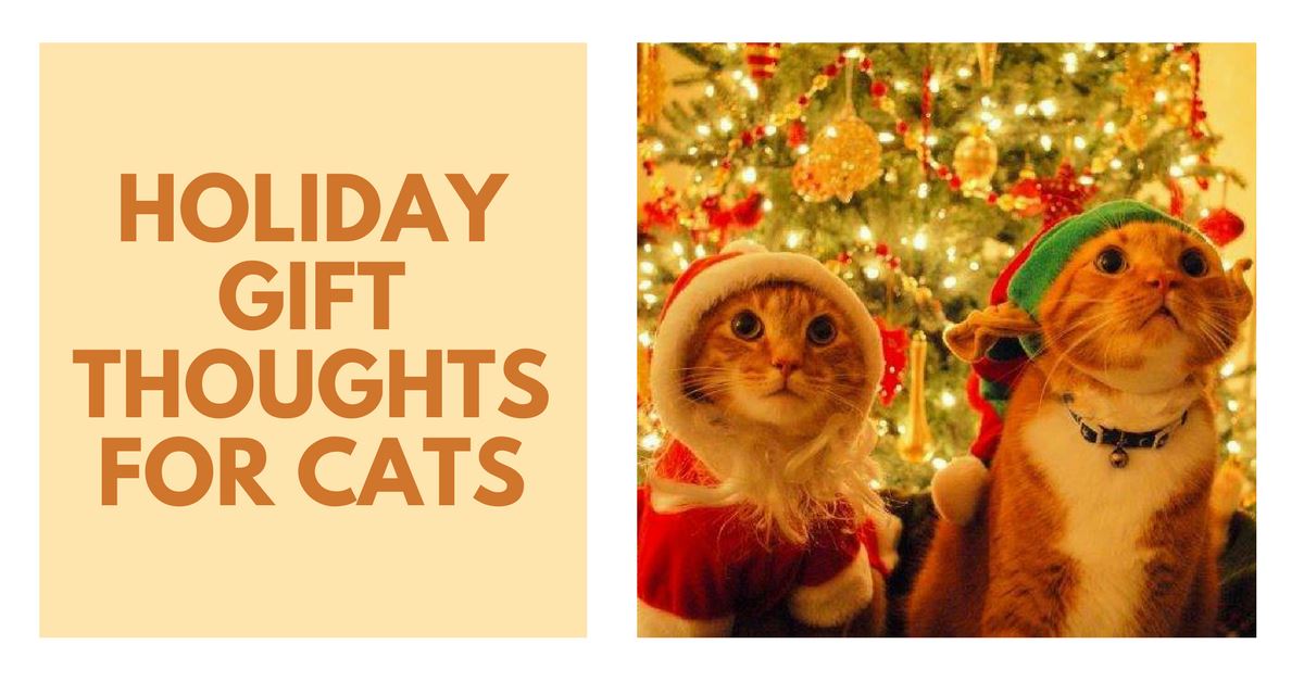 Fashionable Holiday Gift Thoughts for Cats