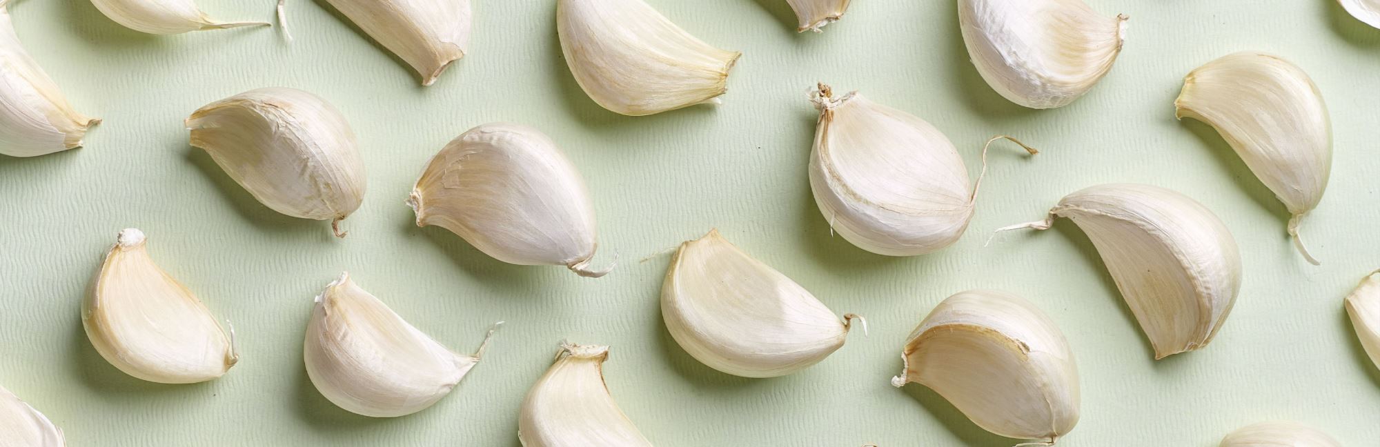Garlic Toxicity and Pets