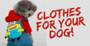 Getting Clothes For Your Dog