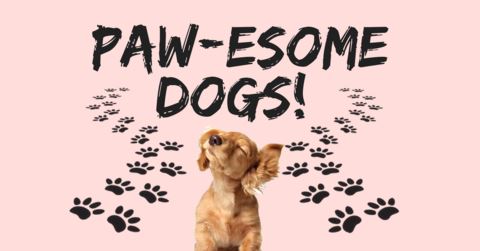 Getting To Know Paw-esome Dogs On Earth!
