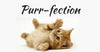 Getting to Know Purr-fection with Hilarious Cats