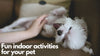 Have fun with your pets without setting foot outside