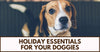 Holiday Essentials for Your Doggies